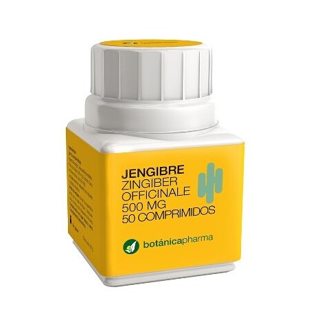 JENGIBRE 500 MG 50 COMP