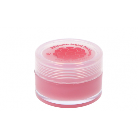 INTERAPOTHEK BALSAMO LABIAL 1 ENVASE 15 ML AROMA FRAMBUESA