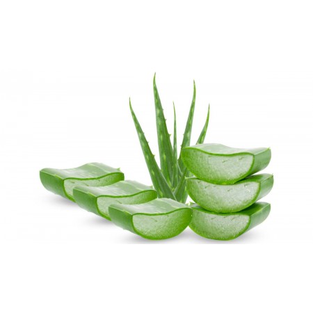 SESDERMA HIDRALOE GEL ALOE VERA OIL FREE 500ML