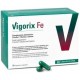 VIGORIX FE 90 CAPSULAS