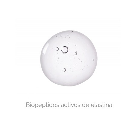 CEANNUM COLAGENO & ELASTINA 10 VIALES DE 24,8 ML