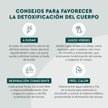 KNEIPP DETOX GUMMIES 60 CARAMELOS DE GOMA SABOR MANZANA LIMON