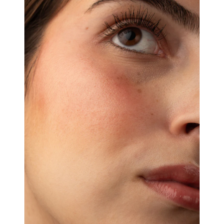 SEGLE LIP LABIAL COOKIE SPF 50+ 7ML