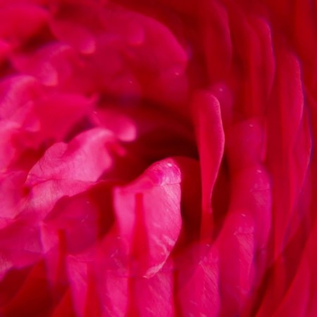 ROGER & GALLET CREMA DE MANOS GINGE ROUGE 30ML