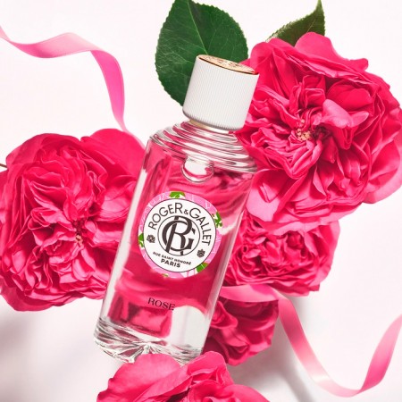 ROGER & GALLET BALSAMO DE LABIOS SUBLIMADOR ROSE 3.5G