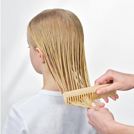 PHYTO SUAVIDAD LECHE DESENREDANTE EXPRESS 150 ML