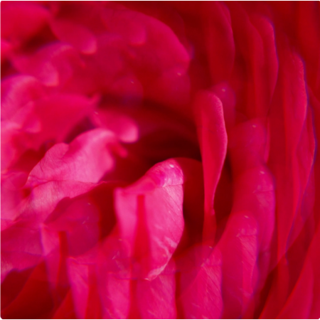 ROGER & GALLET GEL DE DUCHA GINGEMBRE ROUGE 200ML