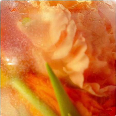 ROGER & GALLET AGUA PERFUMADA DE BIENESTAR FLEUR D'OSMANTHUS 30 ML