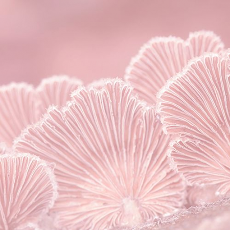 LIERAC HYDRAGENIST GEL CREMA HIDRATANTE 50ML