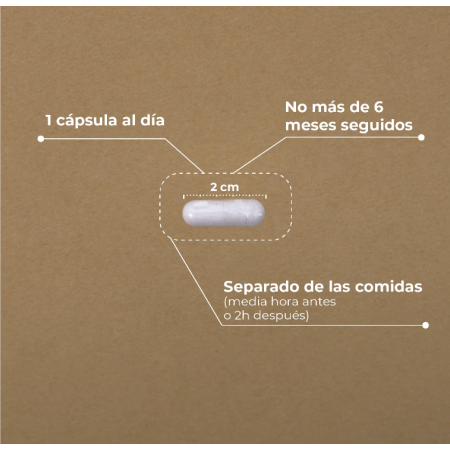 KOBHO ALPHA LIPOIC ACID CON VITMINA C Y E 60 CAPSULAS