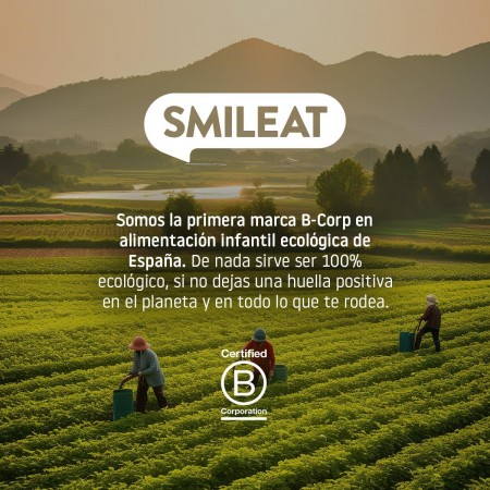 SMILEAT TARRITO CACHITOS DE ARROZ INTEGRAL CON SALMON Y GUISANTES 230G