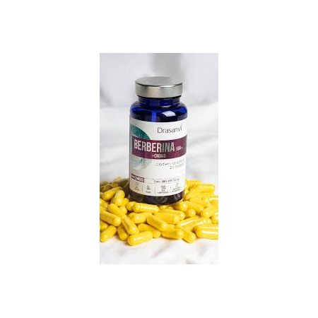 DRASANVI BERBERINA 500MG + CROMO 60 CAPSULAS