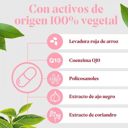 ARKOSTEROL PLUS 30 CAPSULAS