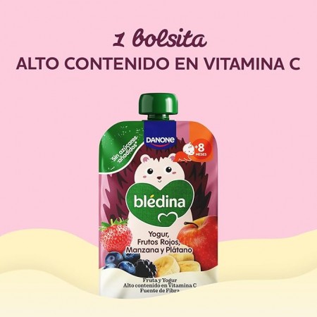 DANONE BLEDINA POUCH DE YOGUR FRUTOS ROJOS, MANZANA Y PLATANO 100 G