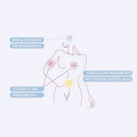 CUMLAUDE LAB: FEMPLUS MAGNESIUM EQUILIBRIO 60 COMPRIMIDOS