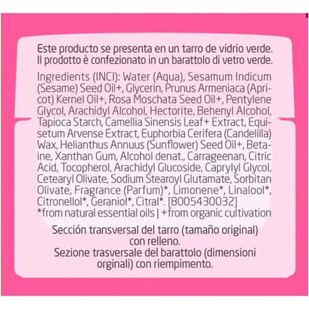 WELEDA CREMA DE NOCHE ALISANTE ROSA MOSQUETA Y TE BLANCO 40 ML