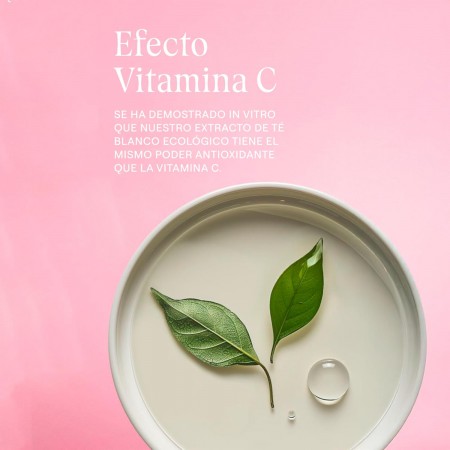 WELEDA CREMA DE NOCHE ALISANTE ROSA MOSQUETA Y TE BLANCO 40 ML