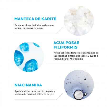 Ingredientes activos clave Manteca de Karité, Niacinamida y Aqua Posae Filiformis de Lipikar Aceite Lavante AP+