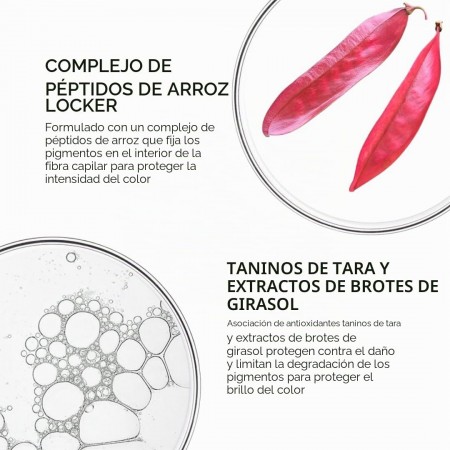 PHYTO COLOR CHAMPU PROTECTOR DE COLOR ECO RECARGA 750 ML