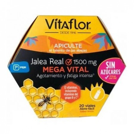 VITAFLOR JALEA REAL MEGA VITAL 200 ML 20 AMP