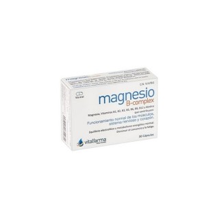 MAGNESIO B COMPLEX 30 CAPS